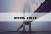 普林斯谈球队（普林斯 足球）