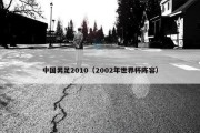 中国男足2010（2002年世界杯阵容）