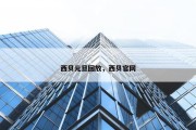 西贝元旦回放，西贝官网