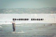 足球小说球队晋级？ 足球小说全本？