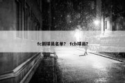 fc新球员名单？ fcb球员？