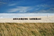 冰球大会赛区球队（冰球联赛nhl）