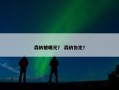 森纳被曝光？ 森纳协定？