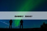 森纳被曝光？ 森纳协定？