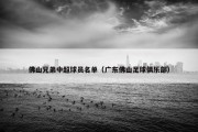 佛山兄弟中超球员名单（广东佛山足球俱乐部）