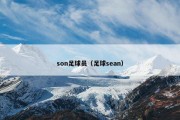 son足球员（足球sean）