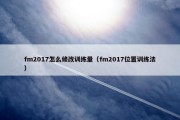 fm2017怎么修改训练量（fm2017位置训练法）