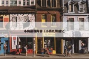 小将最强阵容（小将几级进化）