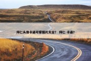 拜仁头像卡通可爱图片大全？ 拜仁 卡通？