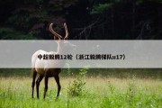 中超毅腾12轮（浙江毅腾梯队u17）