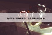 临河足球公园冬天图片？ 临河足球公园在哪儿？