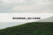 现代足球常青树，足坛十大常青树