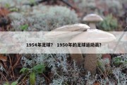 1954年足球？ 1950年的足球运动员？