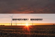 曼联外租天才图片？ 曼联出租球员？