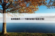 足球鞋捷豹（一个捷豹的鞋子是多少钱）