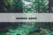 曼联铜牌意思（曼联徽章）