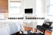 沙岩球员几号球员？ 砂岩俱乐部是干什么的？