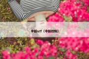 中超srf（中超控股）