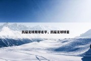 历届足球用球名字，历届足球球星