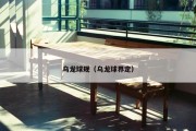 乌龙球规（乌龙球界定）