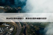黄金切尔西外貌图片？ 黄金切尔西外貌图片高清？