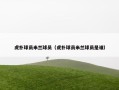 虎扑球员米兰球员（虎扑球员米兰球员是谁）