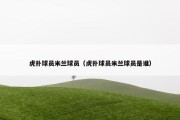 虎扑球员米兰球员（虎扑球员米兰球员是谁）