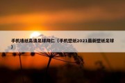 手机墙纸高清足球拜仁（手机壁纸2021最新壁纸足球）
