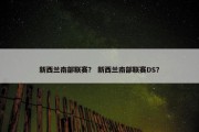 新西兰南部联赛？ 新西兰南部联赛DS？