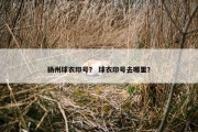 扬州球衣印号？ 球衣印号去哪里？