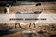 篮球宝贝撕球衣，篮球宝贝衣服掉了的电影