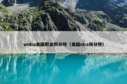 wnba美国职业积分榜（美国nba得分榜）