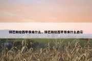 特巴斯给西甲带来什么，特巴斯给西甲带来什么启示
