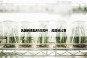 美国碗更佳球员奖杯，美国碗比赛