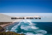 迪纳摩00切尔西，切尔西队门将门迪