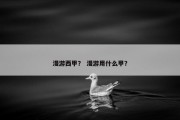 漫游西甲？ 漫游用什么甲？