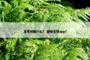 足球叫趣什么？ 趣味足球app？