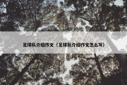 足球队介绍作文（足球队介绍作文怎么写）