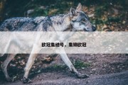 欧冠集结号，集锦欧冠