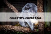武磊适应西甲技巧，武磊踢西甲还是西乙