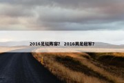 2016足坛阵容？ 2016男足冠军？
