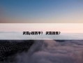 武磊p图西甲？ 武磊图集？