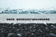 推测巴西，推测巴西玉米生产成本比中国低的原因