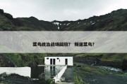 菜鸟统治战场回放？ 频道菜鸟？