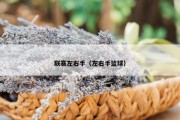 联赛左右手（左右手篮球）