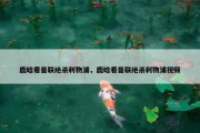 鹿晗看曼联绝杀利物浦，鹿晗看曼联绝杀利物浦视频