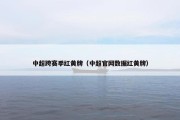 中超跨赛季红黄牌（中超官网数据红黄牌）