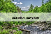 辽篮季后赛系列，辽篮季后赛海报