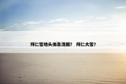 拜仁雪地头像高清图？ 拜仁大雪？