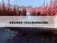 竞赛足球现场（足球比赛进场仪式视频）